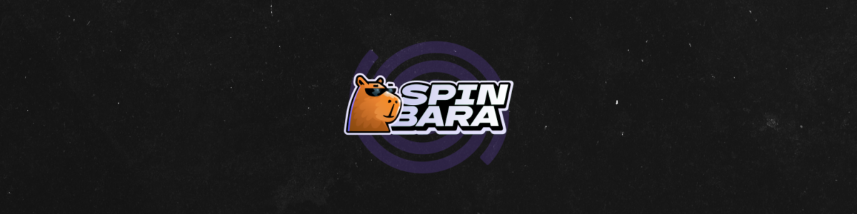 SpinBara